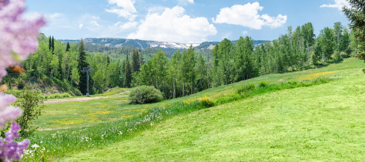 Laurelwood Condominiums 105 Snowmass Village Eksteriør bilde